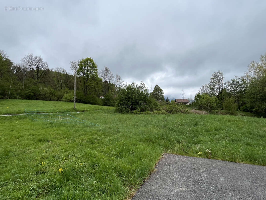 Terrain à ARACHES-LA-FRASSE