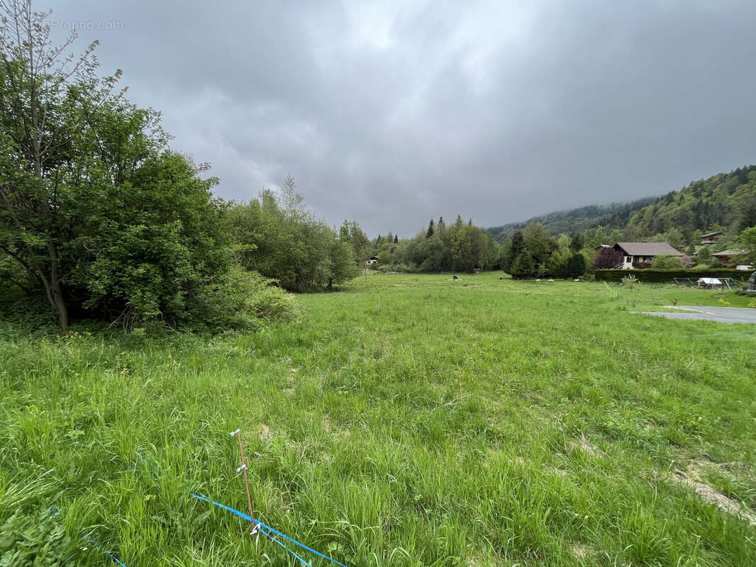 Terrain à ARACHES-LA-FRASSE