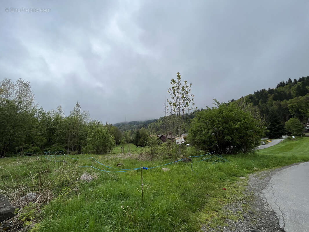 Terrain à ARACHES-LA-FRASSE