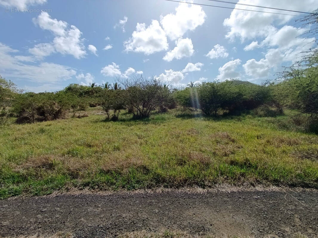 Terrain à SAINTE-ANNE