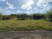 Terrain à SAINTE-ANNE