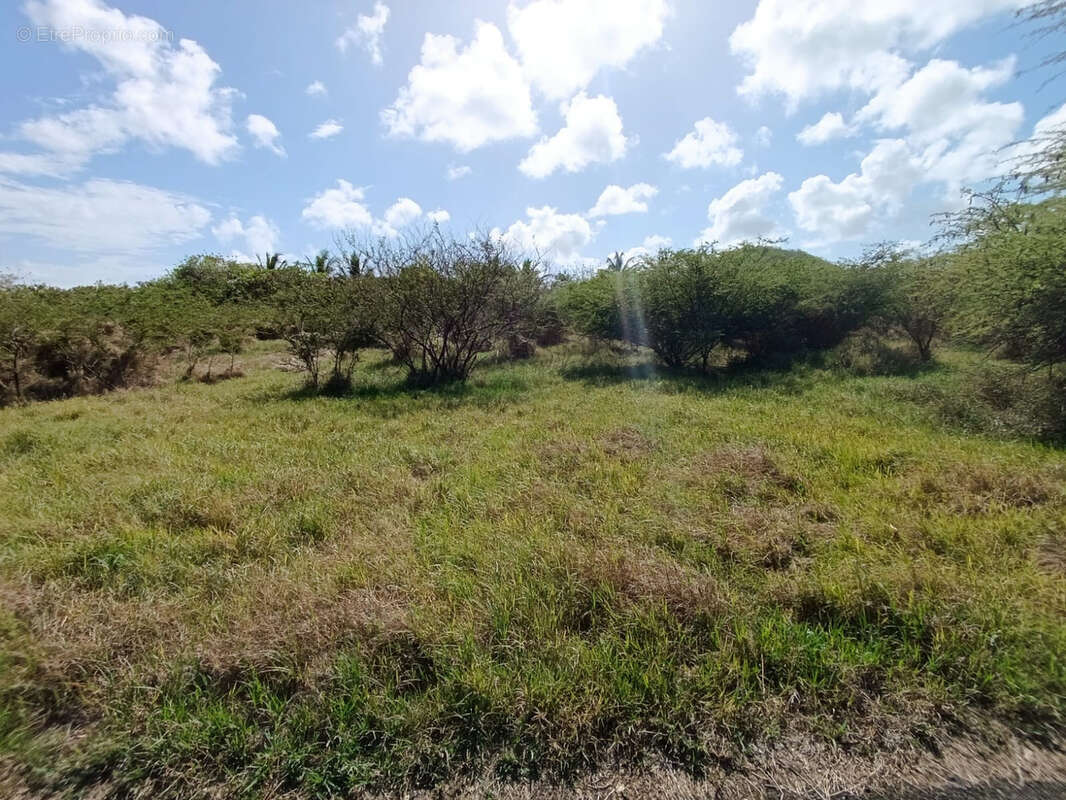 Terrain à SAINTE-ANNE