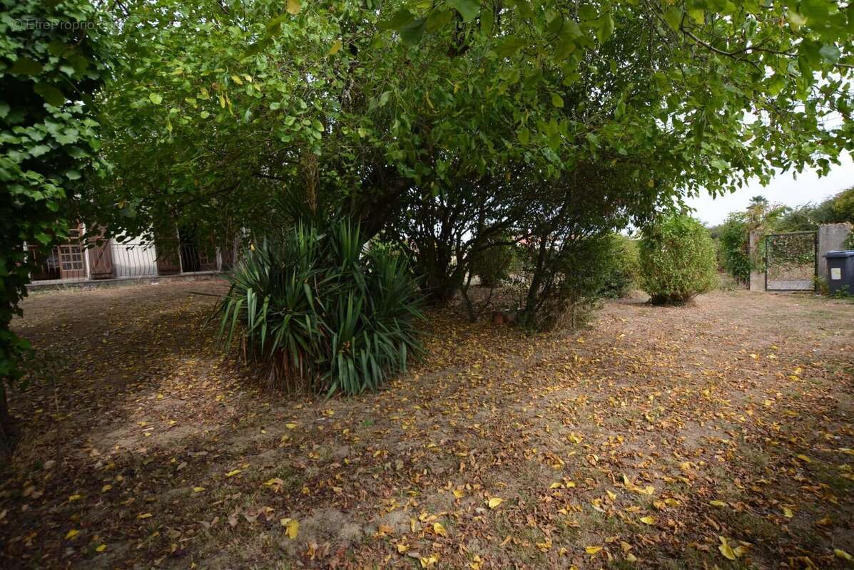 Maison à TOURNEFEUILLE