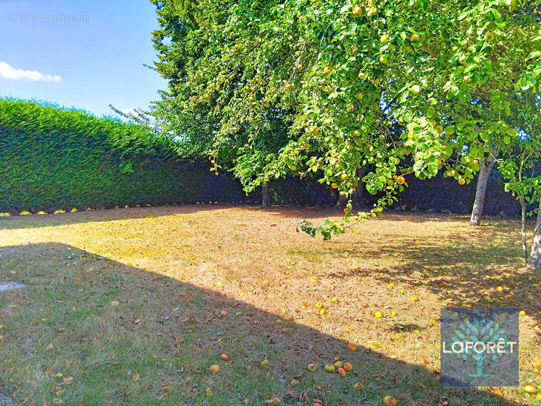 Maison à BOURNEVILLE