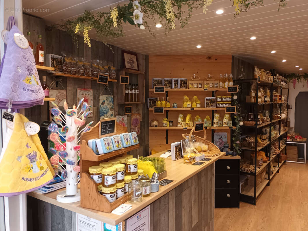 Commerce à BORMES-LES-MIMOSAS