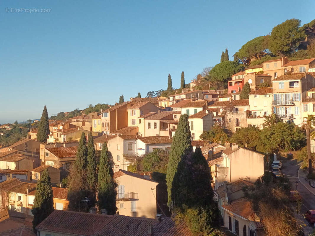 Commerce à BORMES-LES-MIMOSAS