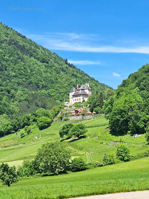 Maison à MENTHON-SAINT-BERNARD