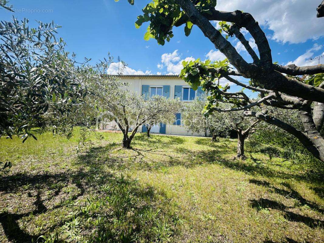 Maison à MARGUERITTES