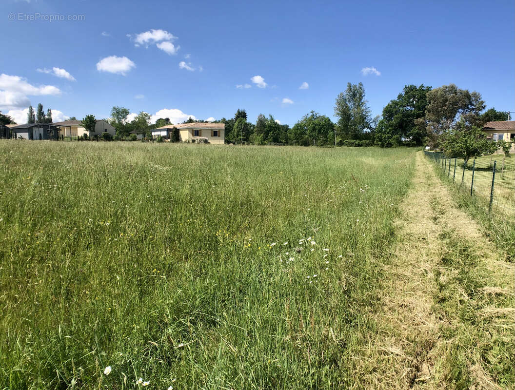 Terrain à SAINT-AULAYE