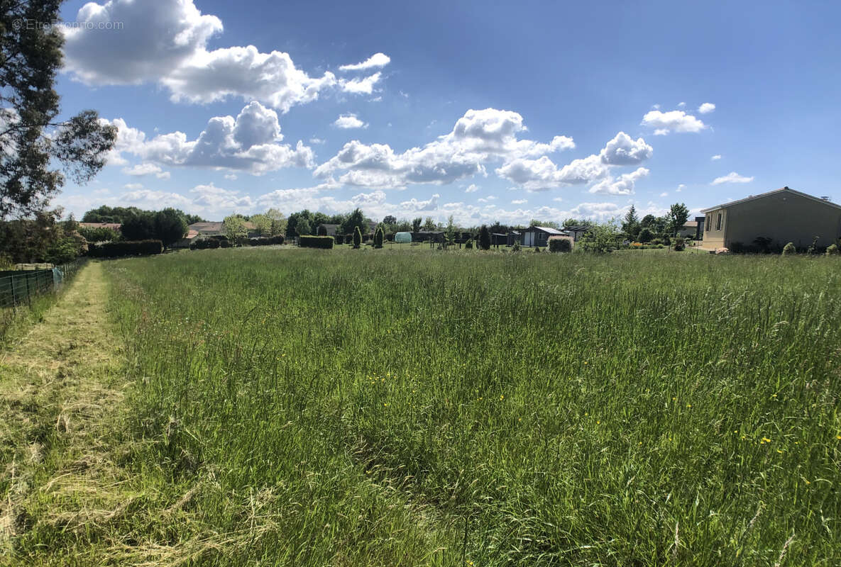 Terrain à SAINT-AULAYE