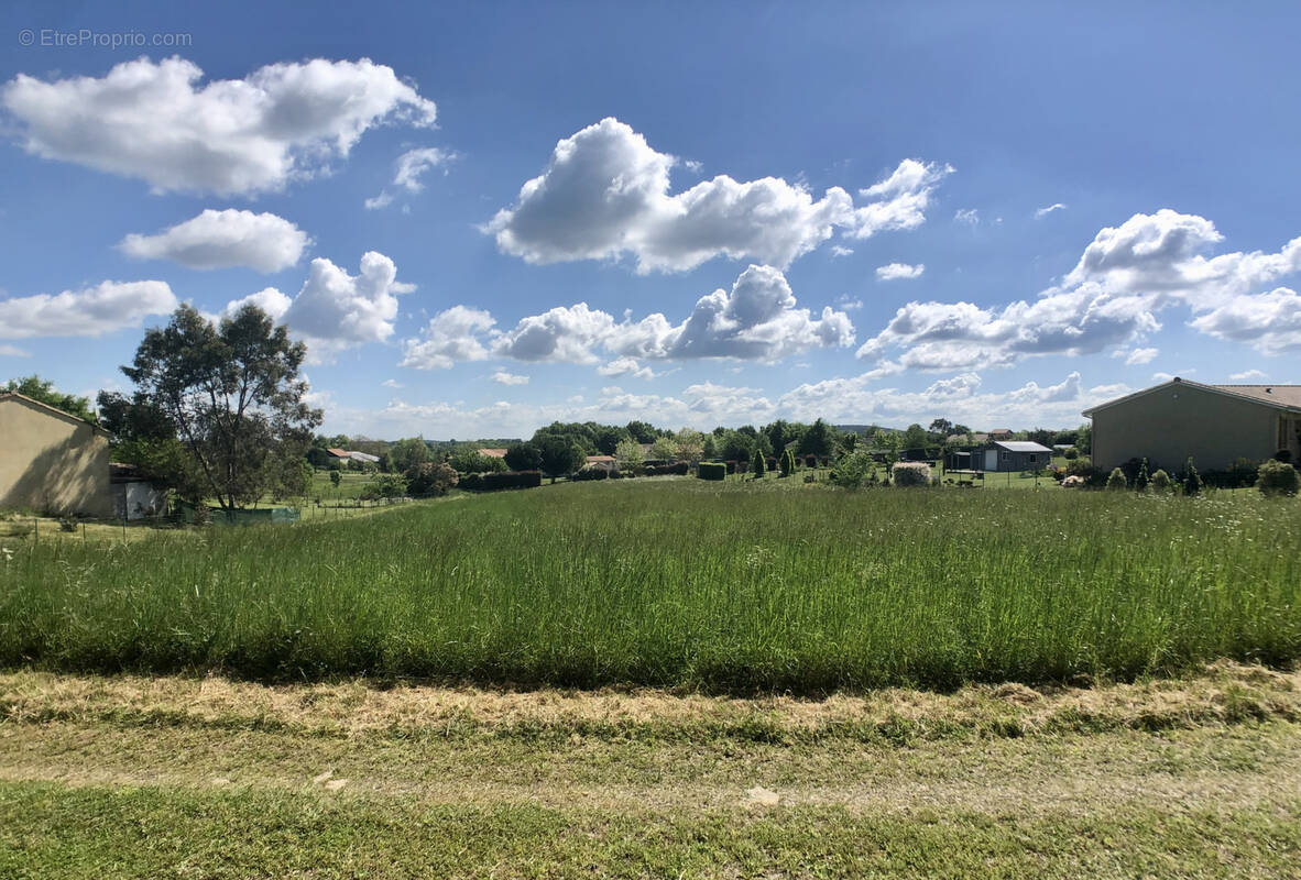 Terrain à SAINT-AULAYE