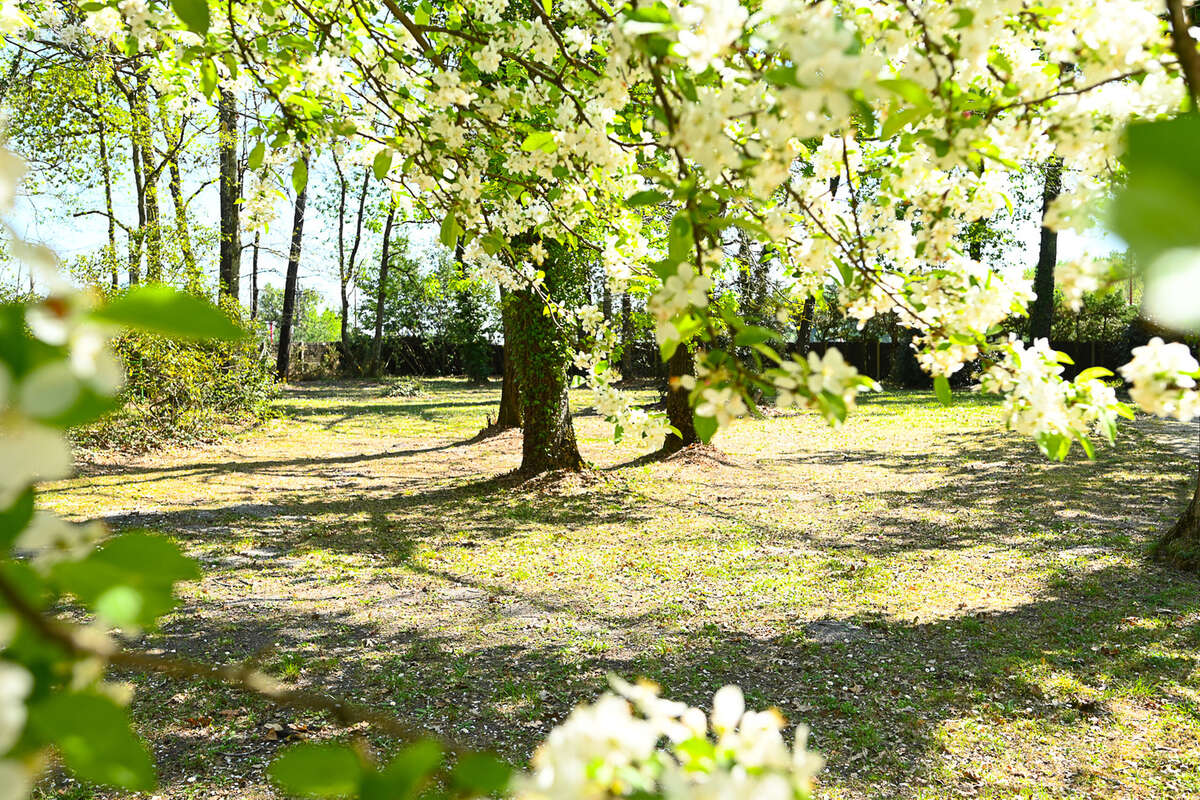 Maison à BLANQUEFORT