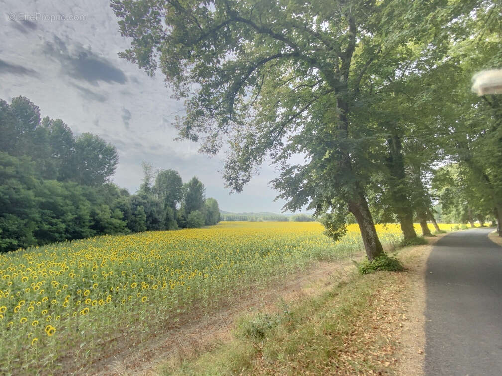 Maison à ANNESSE-ET-BEAULIEU