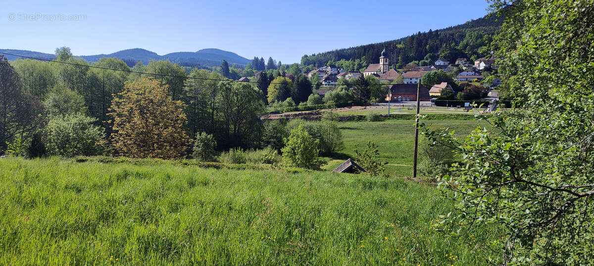 Terrain à SAULXURES