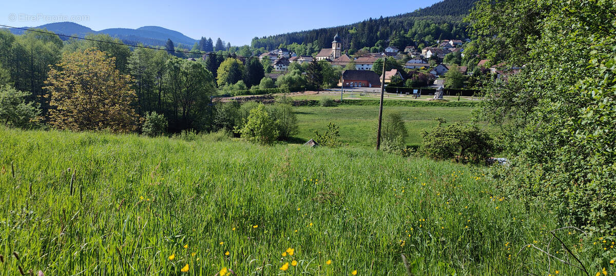 Terrain à SAULXURES