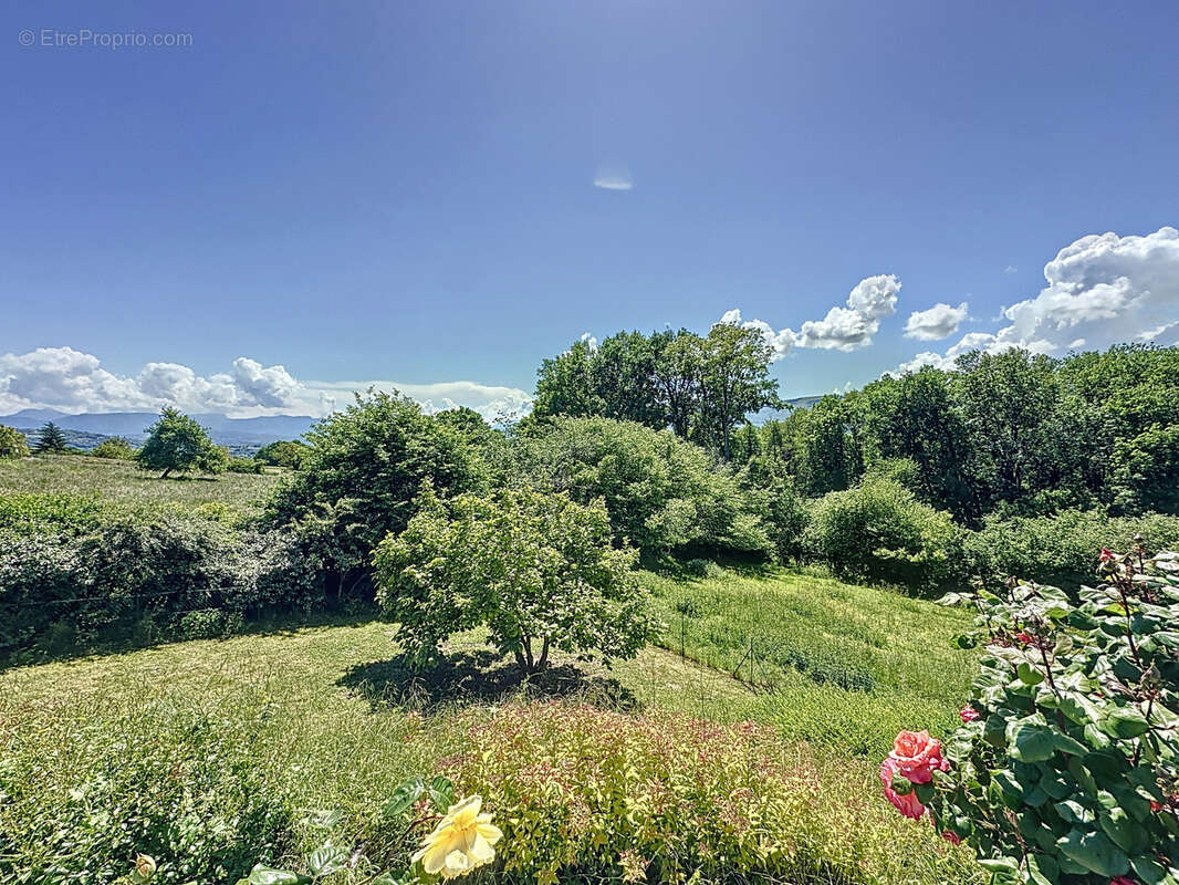 Maison à SAINT-EUSEBE