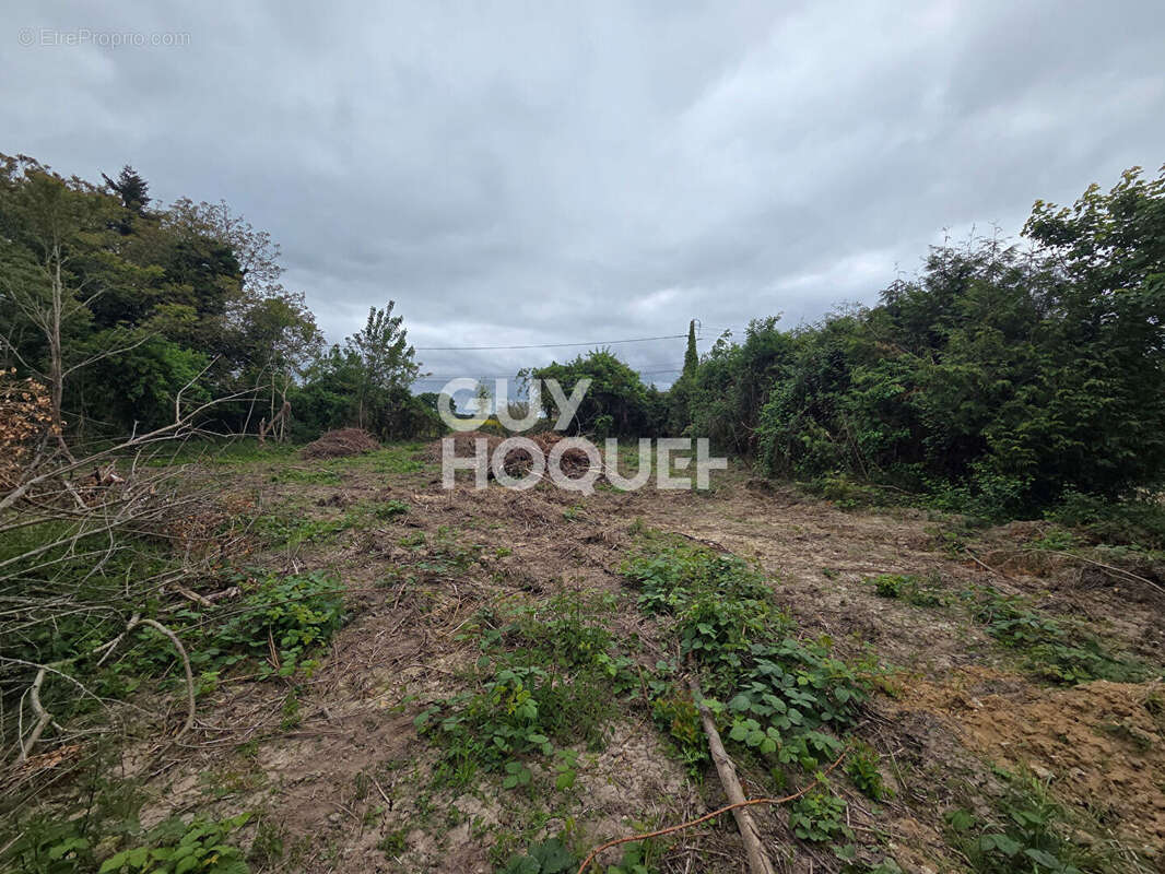 Terrain à ECAUVILLE