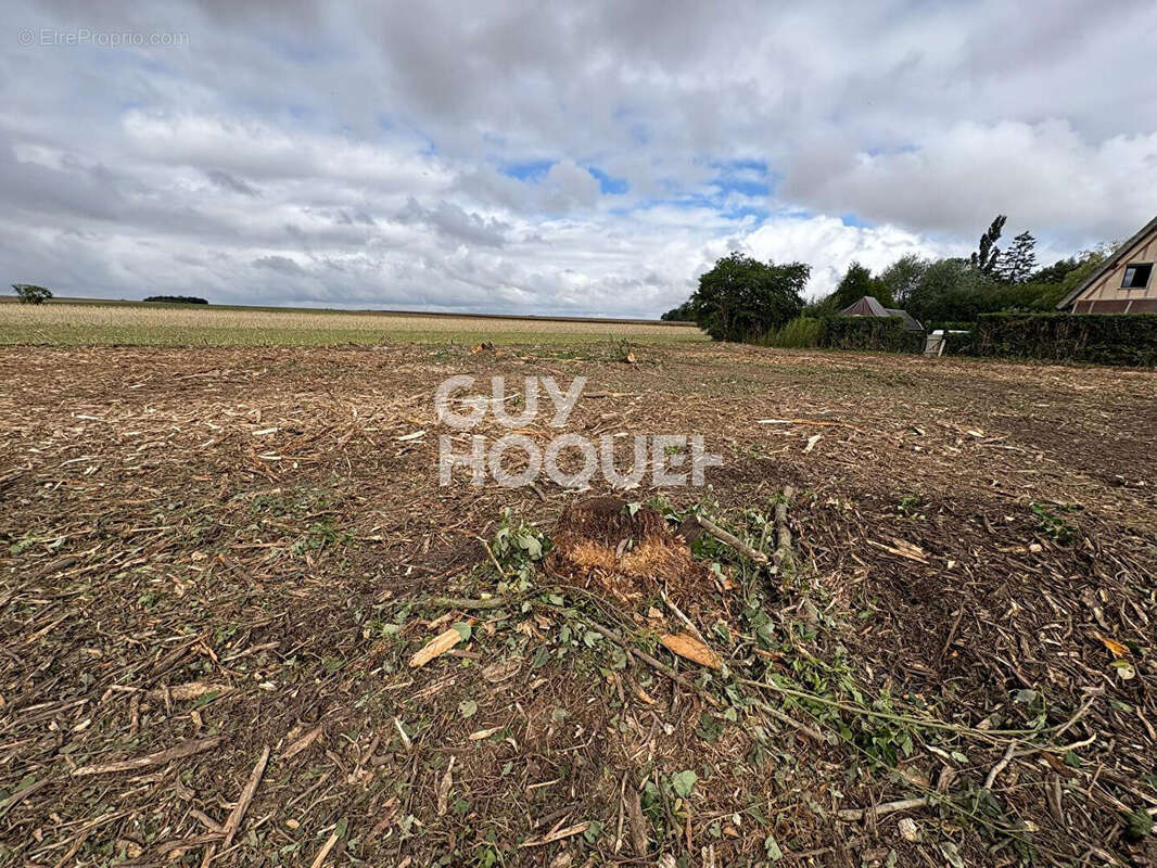 Terrain à ECAUVILLE