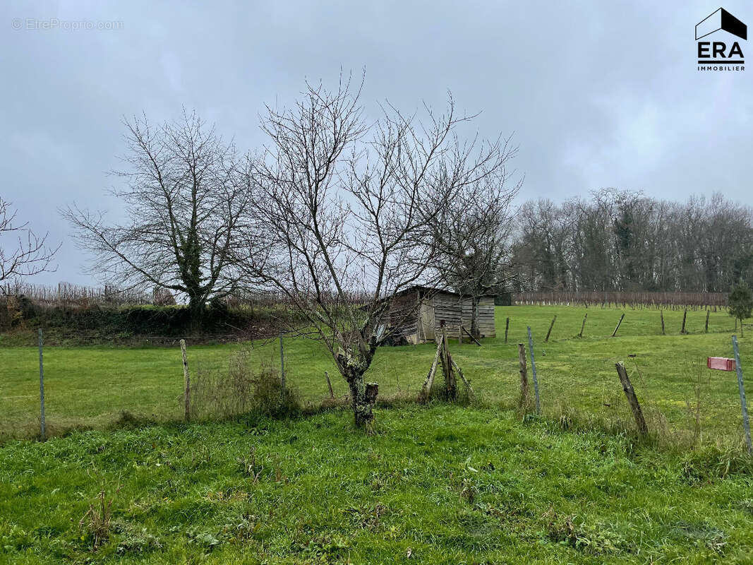 Maison à SAINT-GERMAIN-DU-PUCH