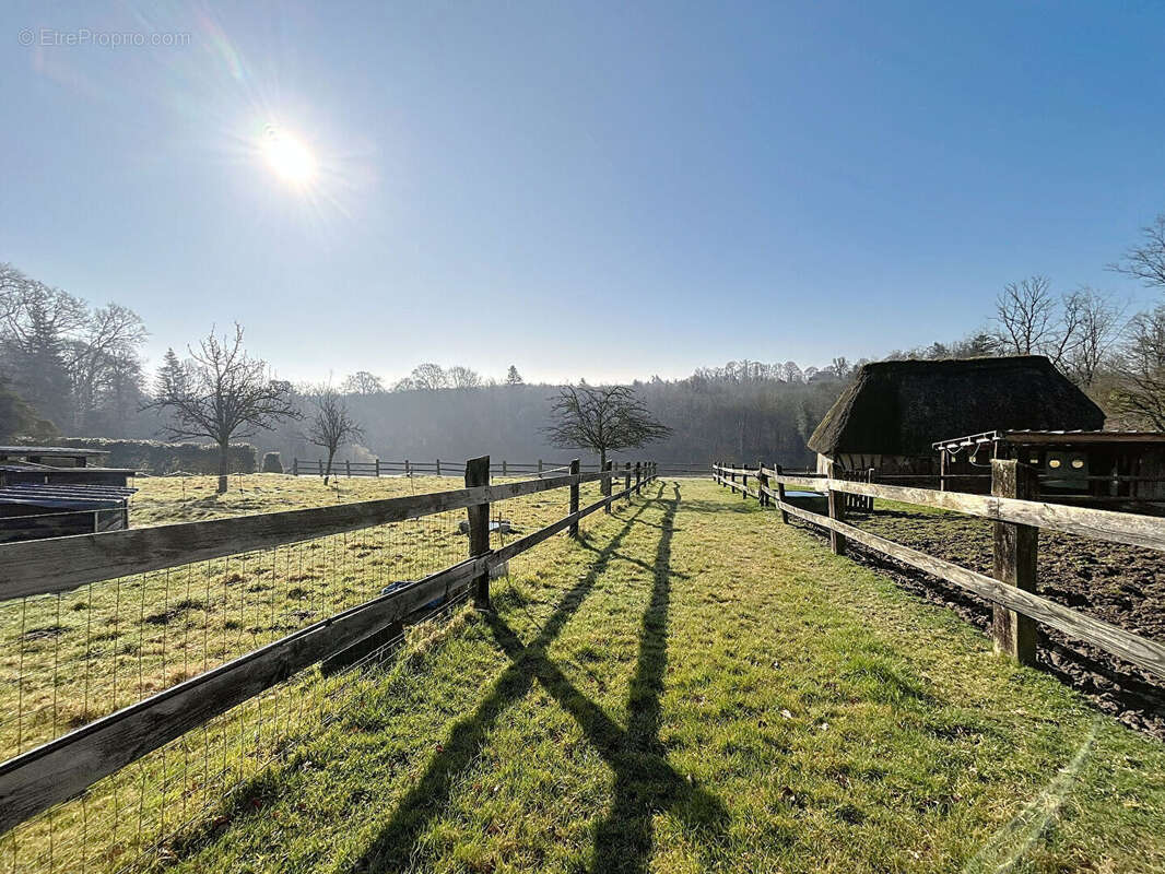 Maison à SAINT-GEORGES-DU-VIEVRE
