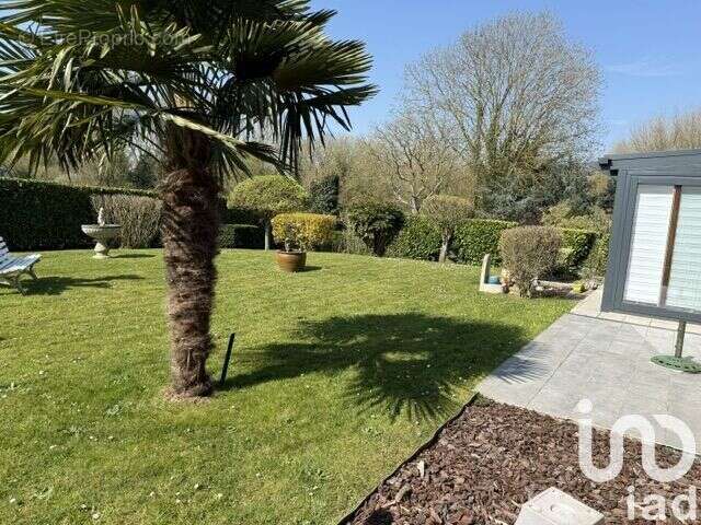 Photo 4 - Maison à BETHUNE