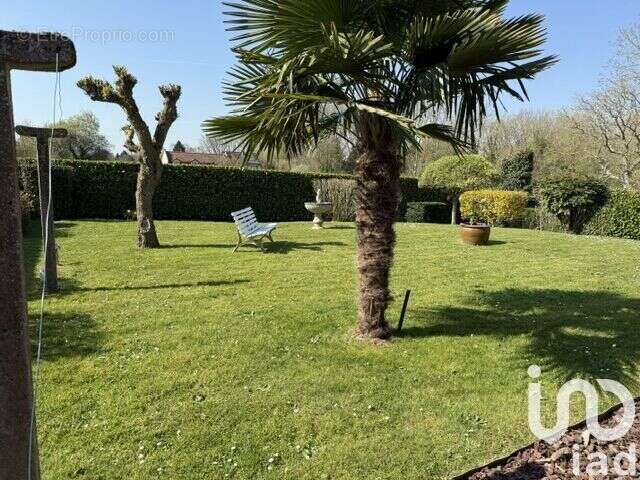 Photo 6 - Maison à BETHUNE