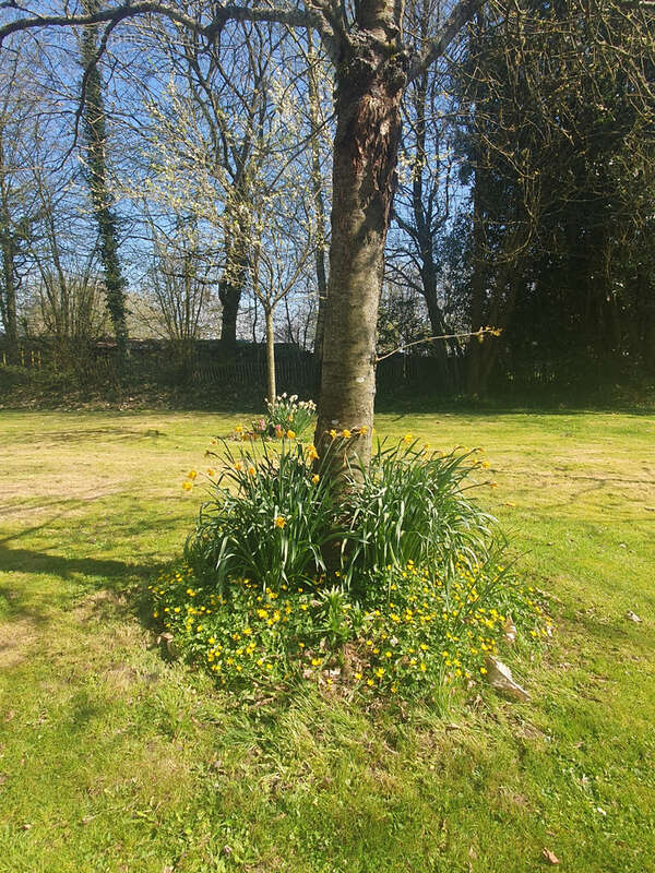 Maison à CORMEILLES
