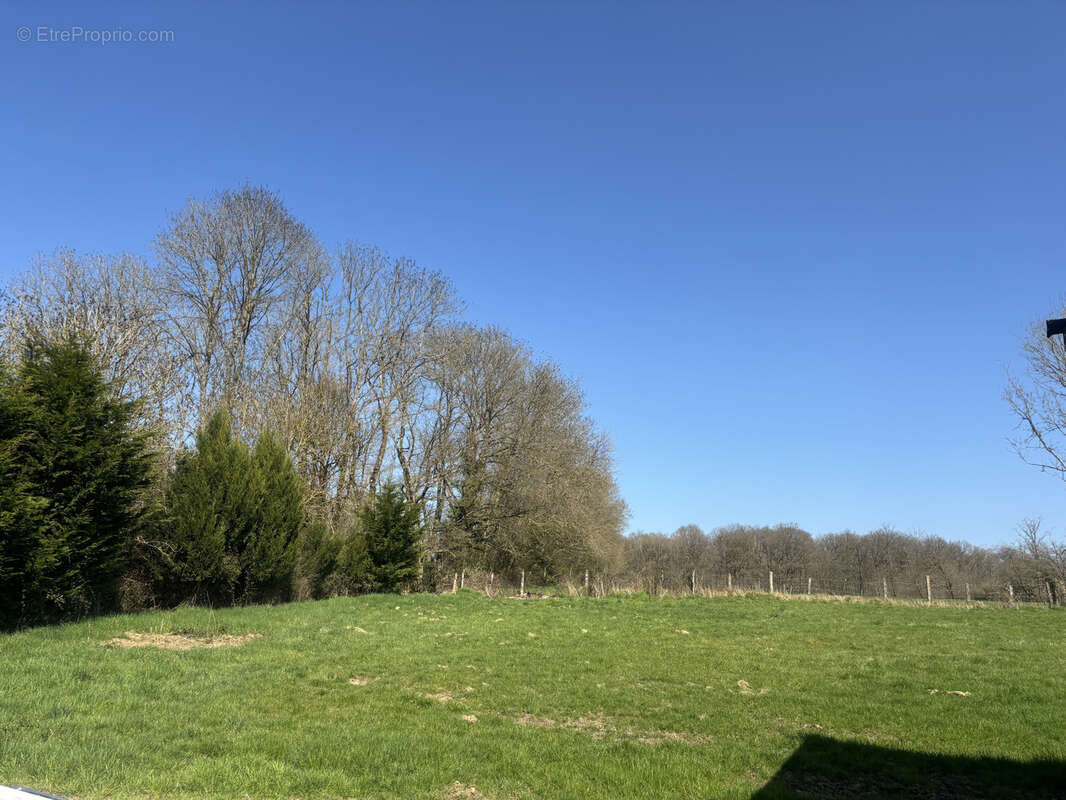 Terrain à BELHOMERT-GUEHOUVILLE