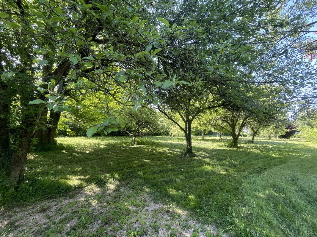 Terrain à FRESSELINES