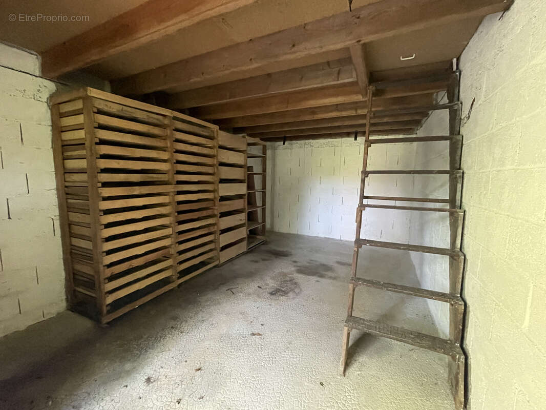 Terrain à FRESSELINES