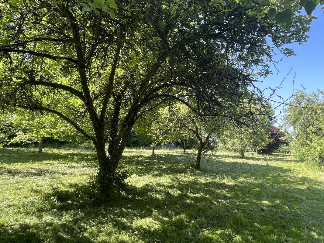 Terrain à FRESSELINES