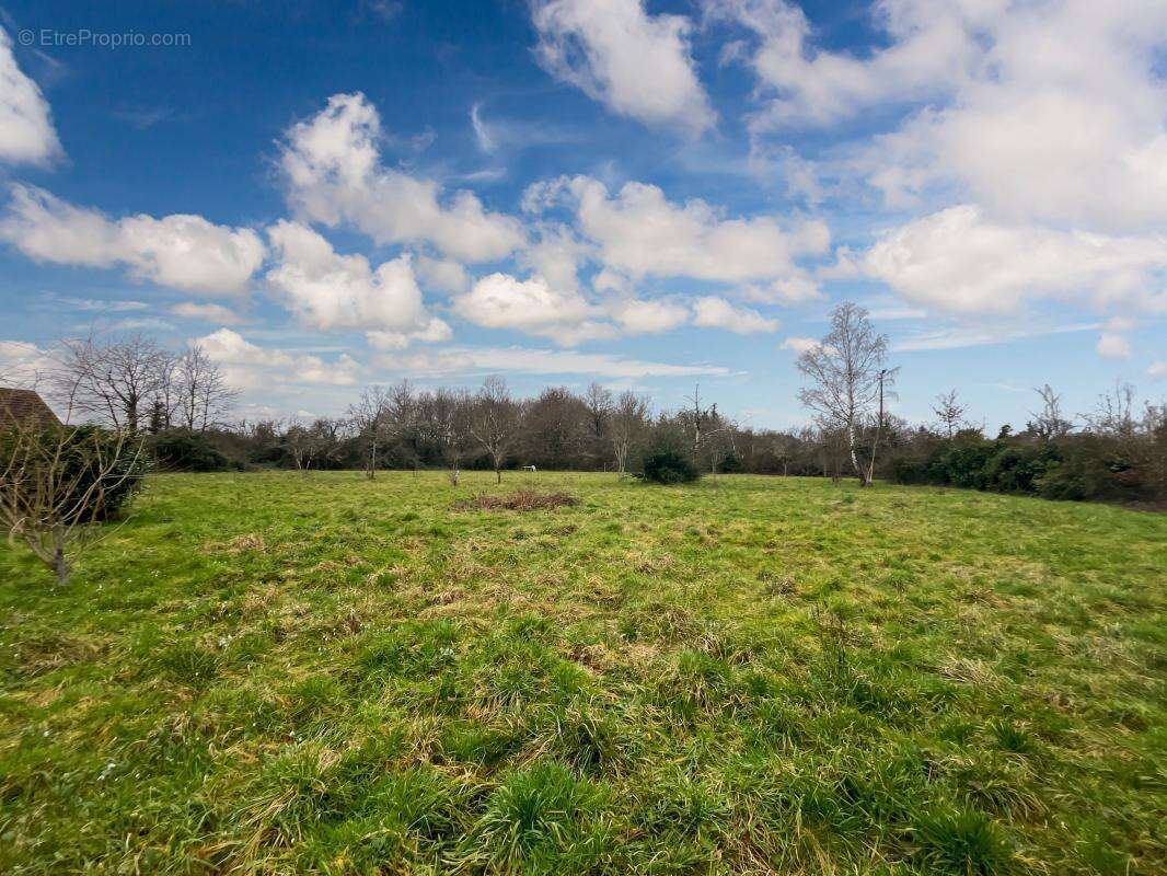 Maison à CHAUMONT-SUR-THARONNE