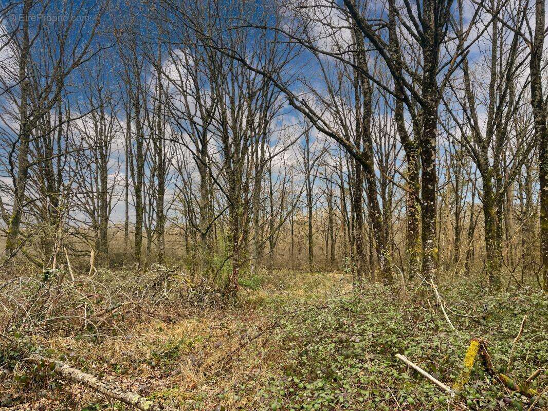 Maison à CHAUMONT-SUR-THARONNE