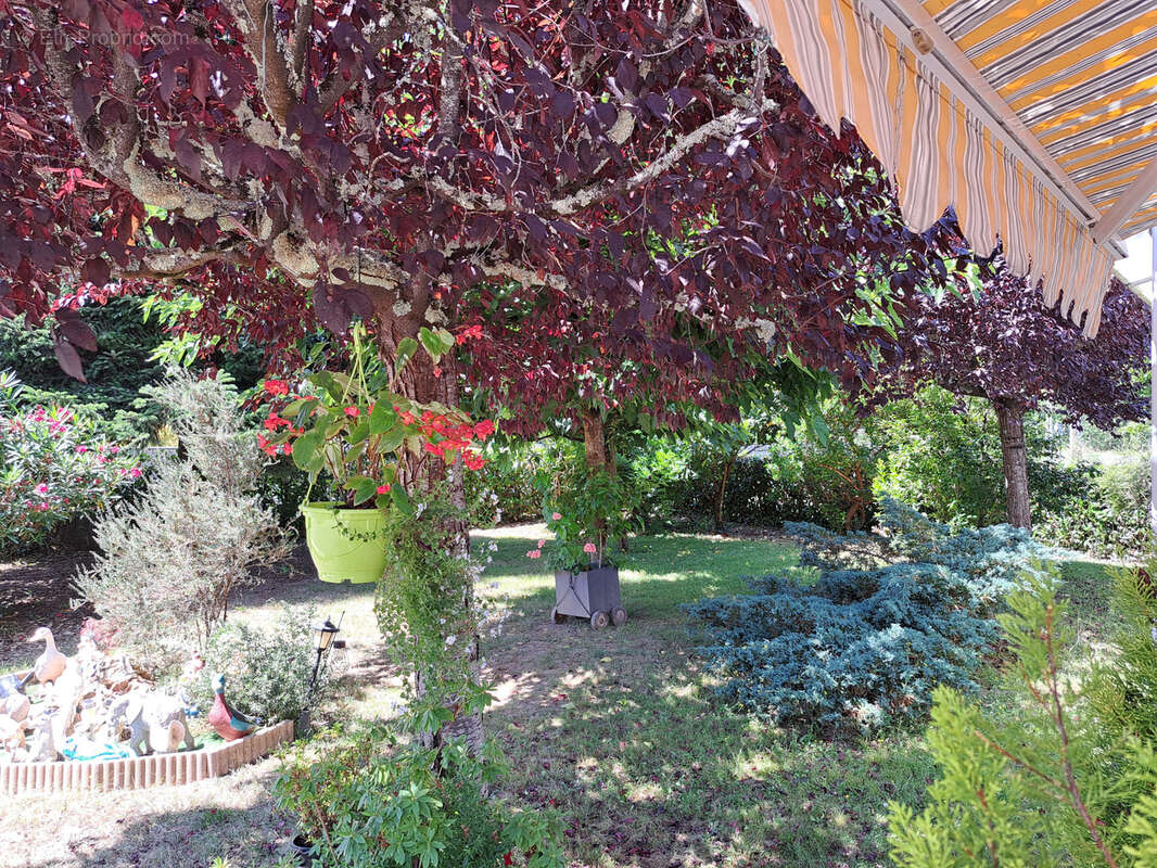 Maison à SAINT-PIERRE-D&#039;EYRAUD