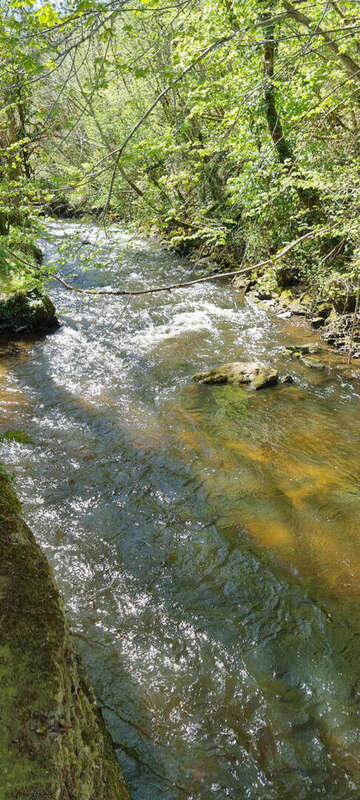 20250407_142453 - Maison à SAINT-MARTIAL-DE-VALETTE