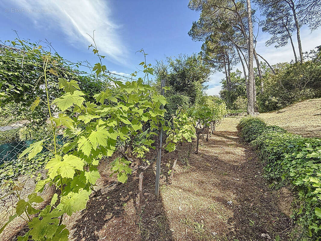 Maison à LE CANNET-DES-MAURES