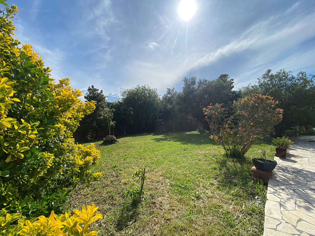 Maison à LATOUR-BAS-ELNE
