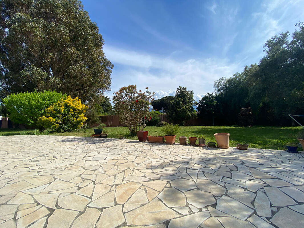 Maison à LATOUR-BAS-ELNE