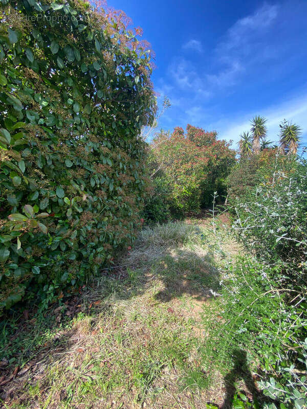 Maison à LATOUR-BAS-ELNE