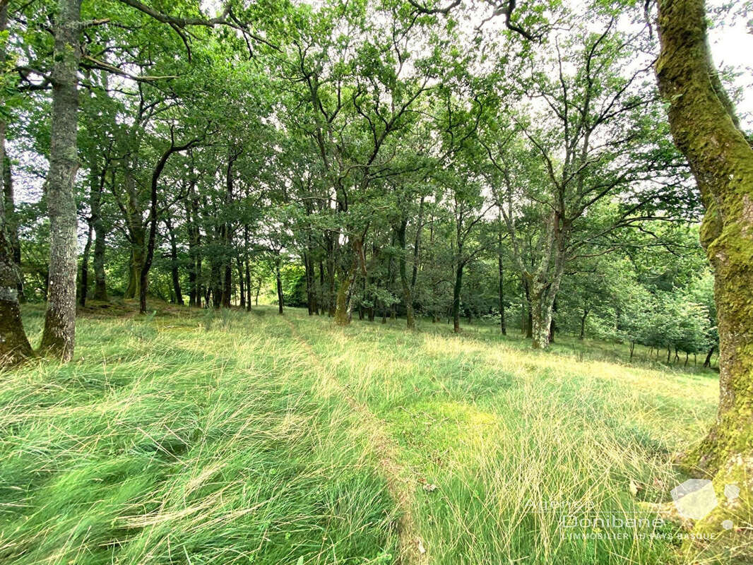 Maison à SAINTE-MARIE-DE-GOSSE