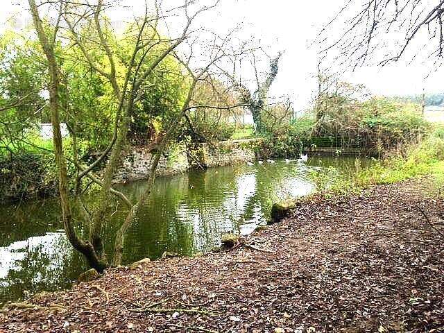 Appartement à TRANGE