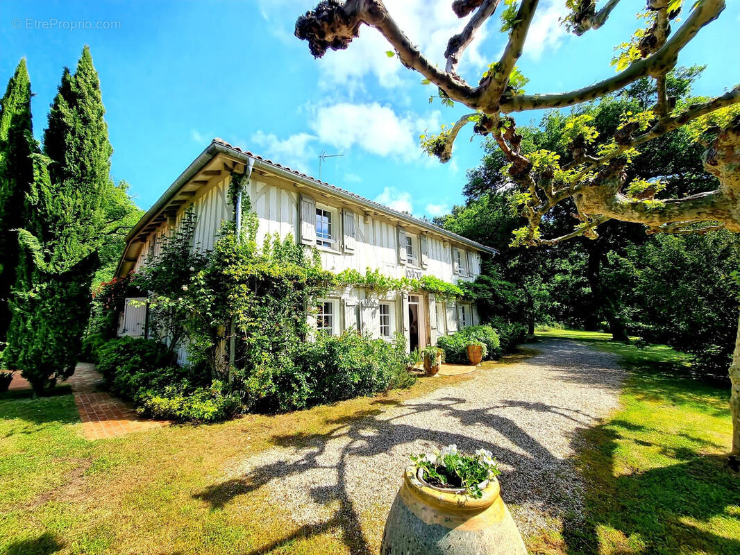 Maison à SAINT-JULIEN-EN-BORN