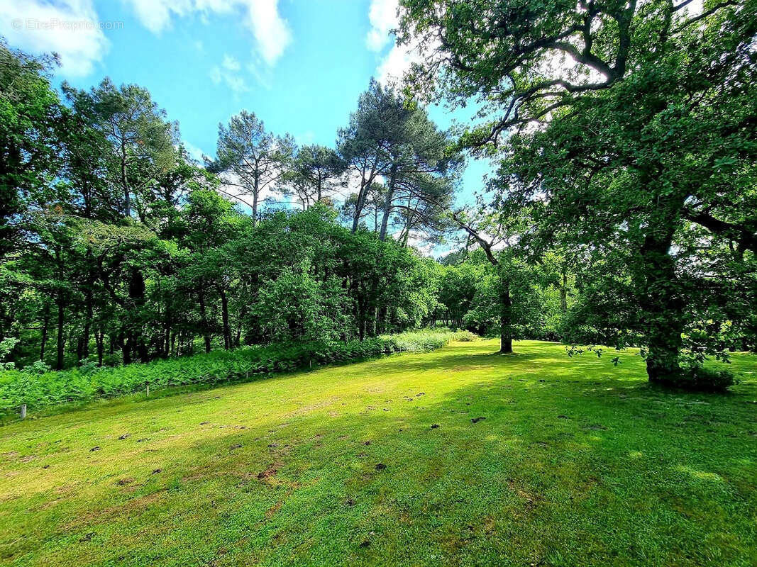 Maison à SAINT-JULIEN-EN-BORN