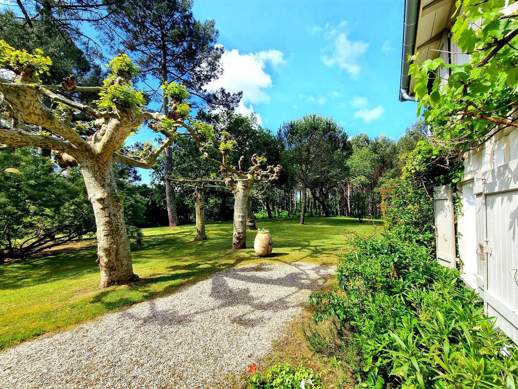 Maison à SAINT-JULIEN-EN-BORN