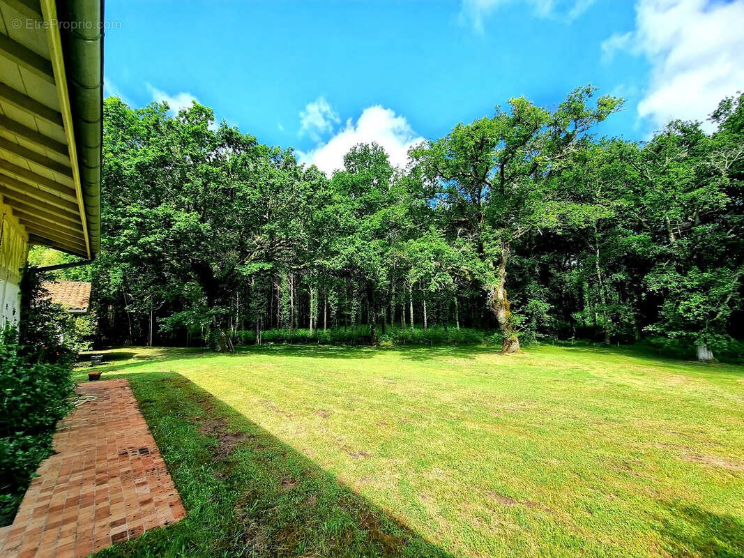 Maison à SAINT-JULIEN-EN-BORN