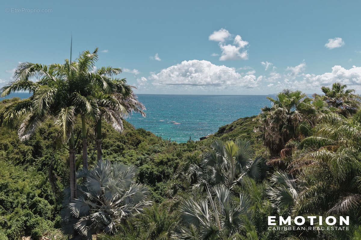 Maison à SAINTE-ANNE