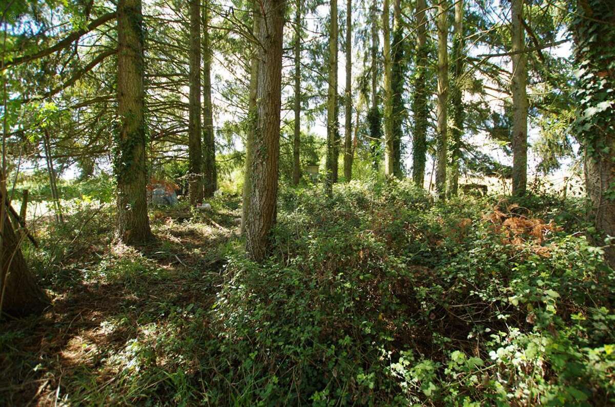 Terrain à SAINT-GERMAIN-DES-PRES