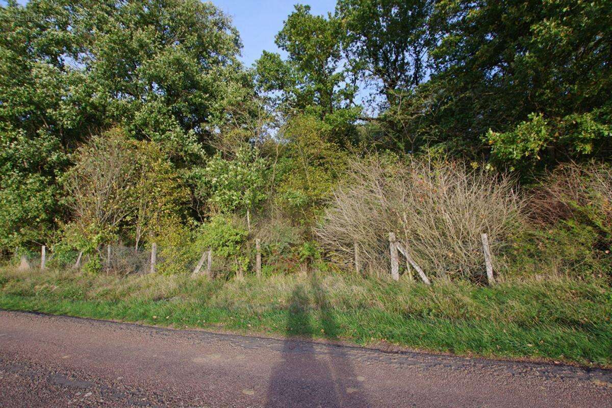 Terrain à SAINT-GERMAIN-DES-PRES