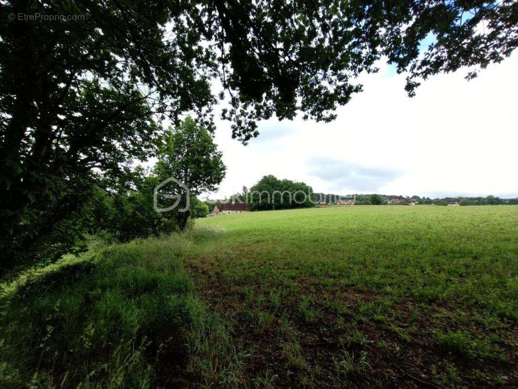 Maison à LE BUISSON-DE-CADOUIN