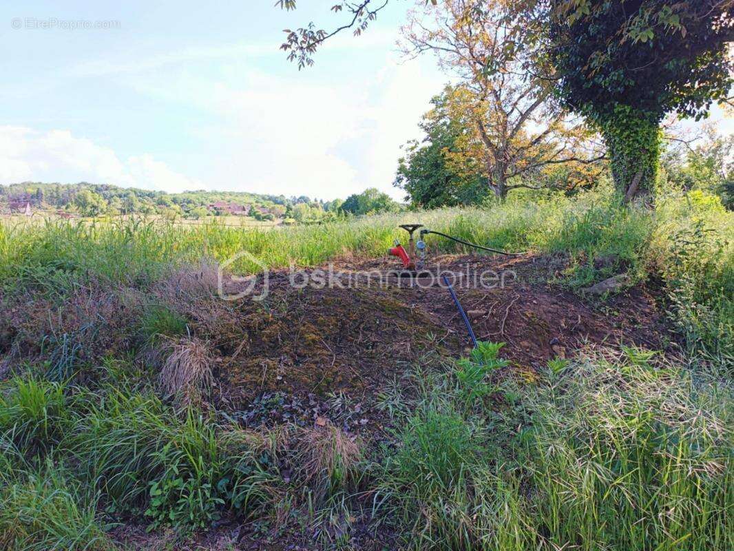Maison à LE BUISSON-DE-CADOUIN